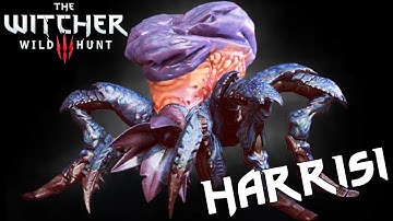 THE WITCHER 3 - Contract: Missing Brother (Arachas) [4K, 60fps]