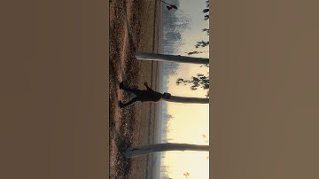 MEIN TOMARE KHWAB MEIN ❣️🫀💝