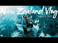New Zealand Vlog // I WENT WITH NO ONE I KNEW