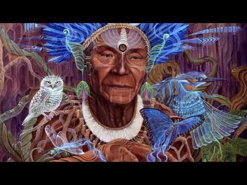 Παρακολούθηση Organic Intelligence (CALAGNA Revision) στο YouTube Παρακολούθηση Organic Intelligence (CALAGNA Revision) στο YouTube