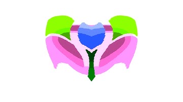 All Windows Animations From MS Paint in Blind