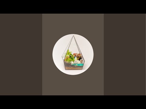 FLO флорариумы в