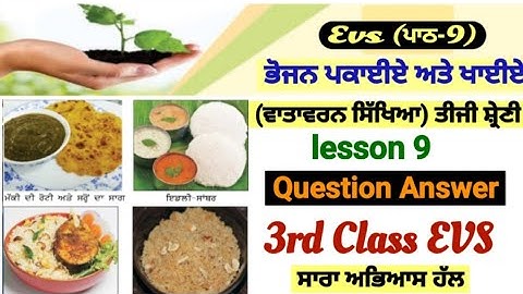 3rd class evs | lesson 9 | question answer| ਭੋਜਨ ਪਕਾਈਏ ਅਤੇ ਖਾਈਏ | 9th lesson | PSEB | chapter 9