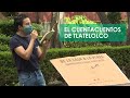 Los cuentos de Percibald, el juglar de Tlatelolco