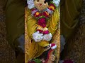 જય શ્રી સ્વામિનારાયણ જય શ્રી ગોપીનાથજી મહારાજ #dharmkul #svg #love #song #sorts #lovesong #shyam