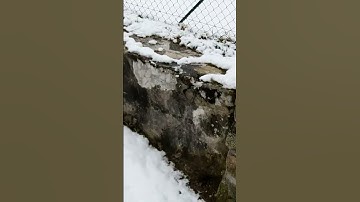 #trackingshot #snowy - free to use for your #remix #ai #free #videostock #photostock #sound #video