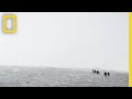 Human Experience and Nature Perspectives
