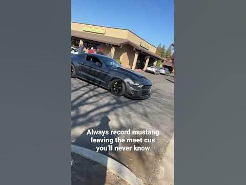 Mustangs doing mustang things - YouTube