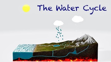 The Water Cycle Explained For Kids- Animation