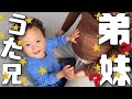 【妊娠5ヶ月】うたくんの大予言?!赤ちゃんの性別?トコちゃんベルトの巻き方紹介!