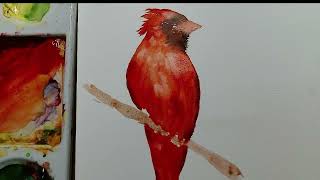 Does This Cardinal Bird in Watercolor Need a Background?