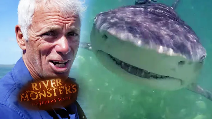 Jeremy Battles A Lemon Shark! | SHARK | River Mons...