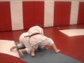 Koryu Uchinadi Gyaku-waza [Ground Portion Only]