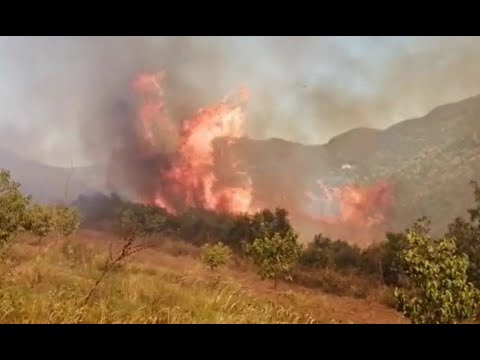 KOCAELİ'DE ORMAN YANGINI! Kocaeli'de yangına müdahale - Kocaeli haberleri son dakika