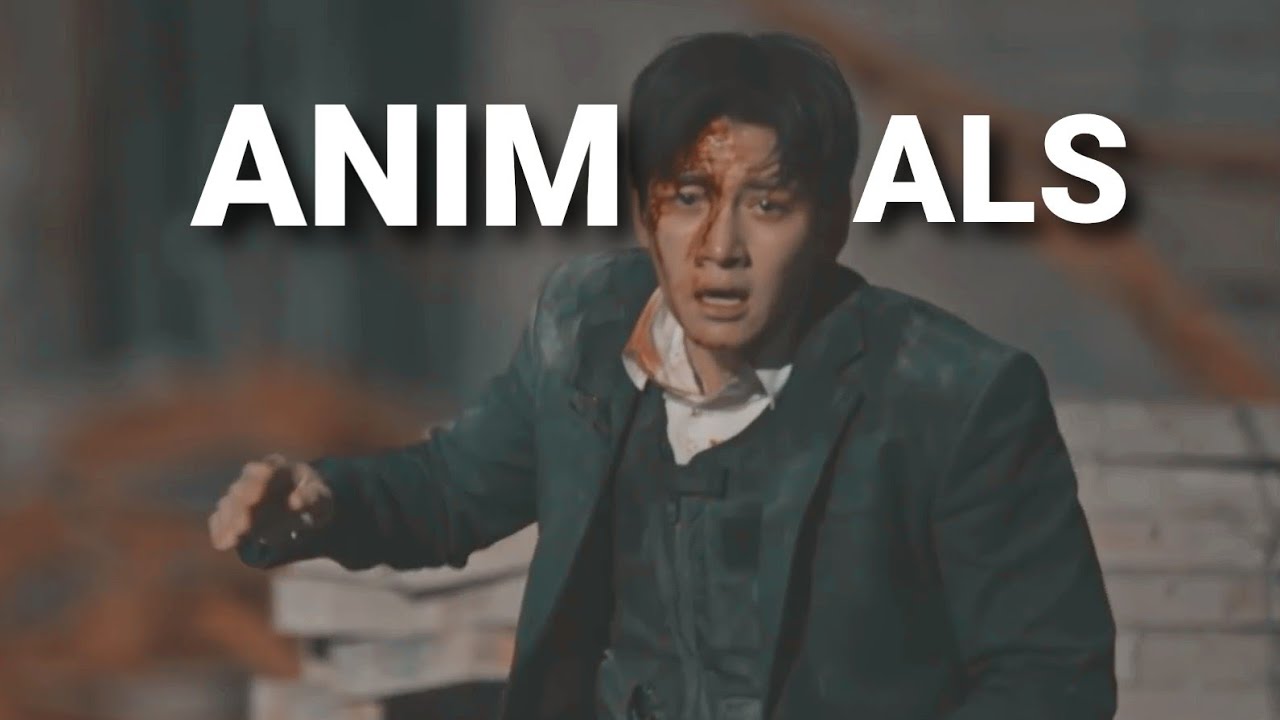 Kore Klip || Animals