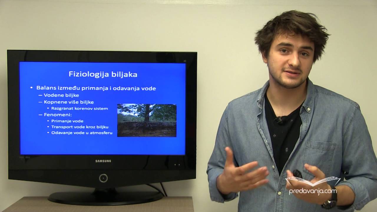 Usvajanje vode kod biljaka i korenov pritisak - Biologija III