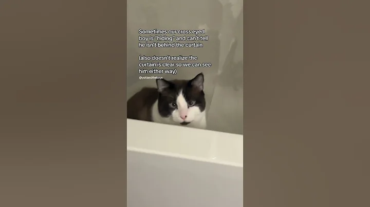 Watch the video about Bathtub lover
