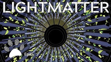 Quick like a Cat! | LIGHTMATTER | Part 5