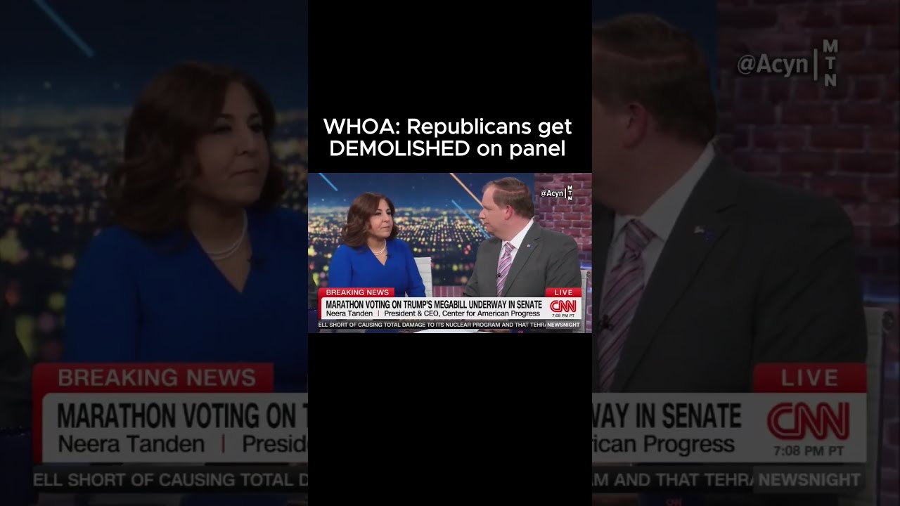 WHOA Republicans Get DEMOLISHED On Panel