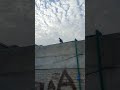 wowwwww