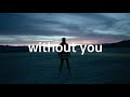 Avicii - Without You (Extended Mix)