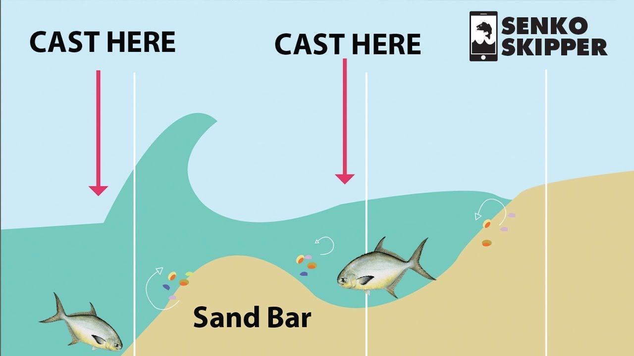 Understand how surf beaches work and catch more fish - SeaAngler