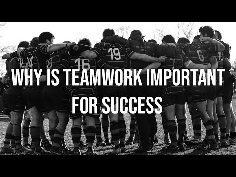 सफलता के लिए टीम वर्क का महत्व और लाभ - सर्वश्रेष्ठ प्रेरक वीडियो