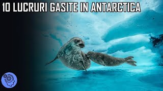 Top 10 Lucruri Misterioase Gasite Inghetate In Antarctica