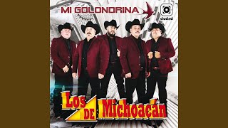 Video thumbnail of "Los de Michoacán - Me Estoy Enamorando"