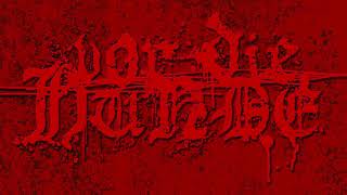 Vor die Hunde - Limit (Deichkind cover)