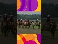 The Inside Track - Ponies Pt 2 #horse #thoroughbreds #equestrianjourney
