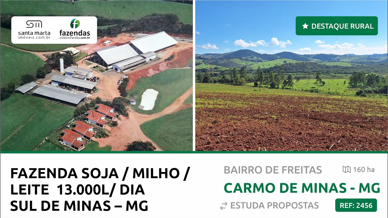 REF 2456 | FAZENDA SOJA/MILHO/LEITE – CAP. 13.000L/DIA – SUL DE MINAS – MG