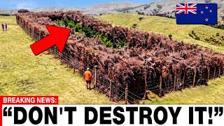New Zealand Botanist Refused to Destroy the Most Dangerous Weed - What Grew Back Was Impossible