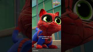 Go kittens go! 🐱 |  Marvel's Spidey and his Amazing Friends | Disney Jr.