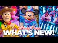 Top 10 New Disney Rides, Changes &amp; Construction Updates in 2023