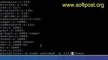 How to change the primary group id of a user in Arch Linux