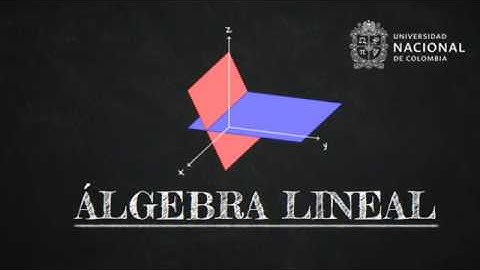 Matriz en forma escalonada reducida