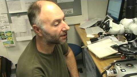 Studying the sediment with Ivano