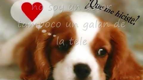 Que me hiciste  - Maximo Zuleta