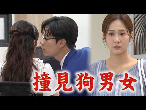 【針線緣】EP38預告 書瑤撞見正宇.晴萱偷情畫面心都碎了... 勝元盼志強替哥哥當紘大接班人?!｜完全娛樂