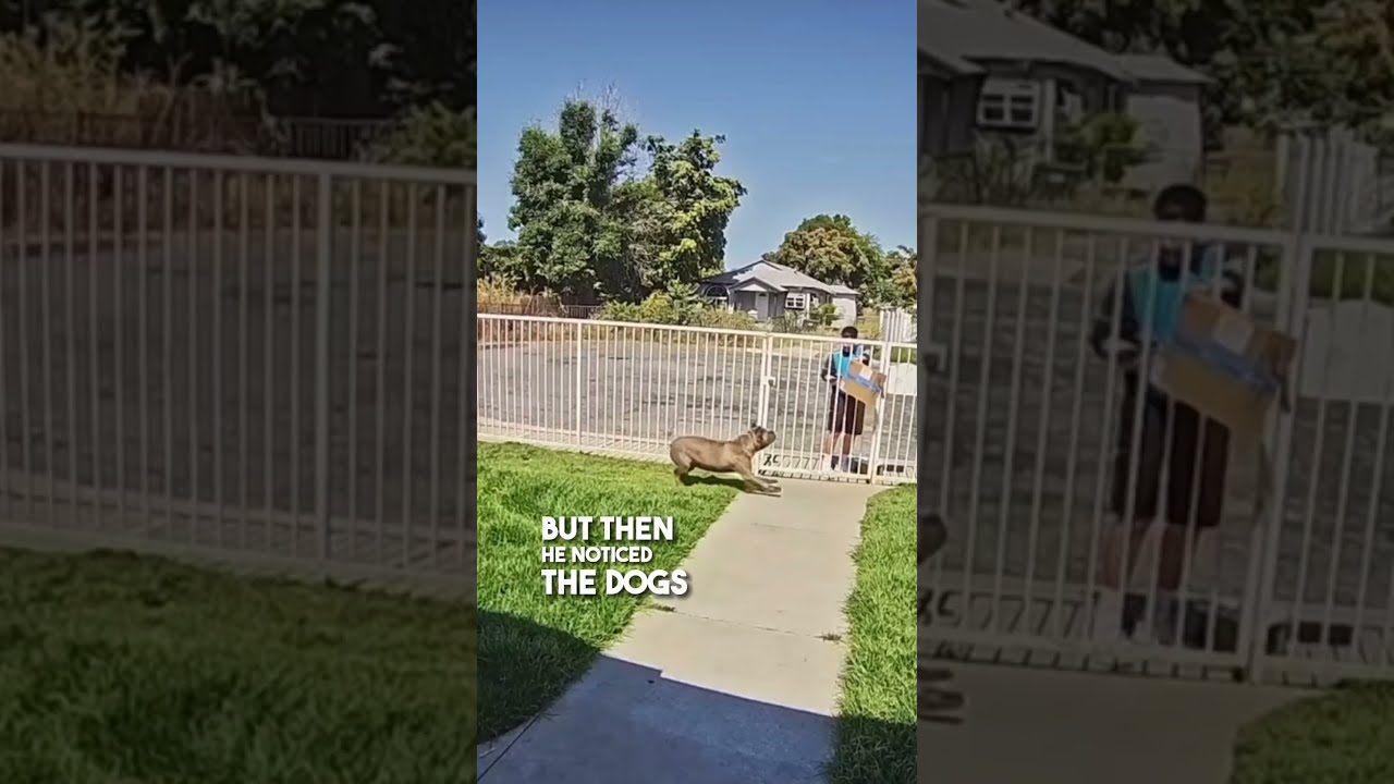 This Delivery Driver Didn T Read The Instructions 