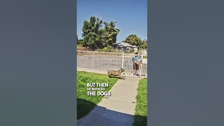 This delivery driver didn't read the instructions 😂
