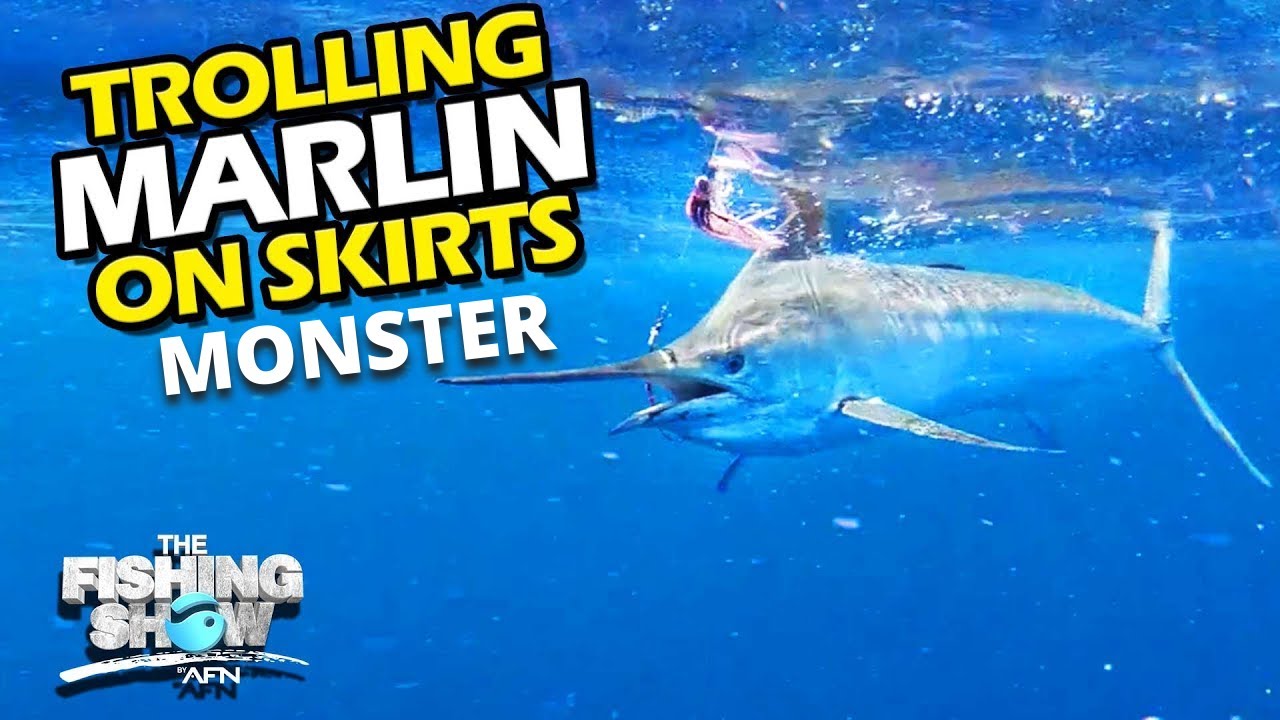 Trolling Monster Marlin on Skirts 