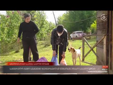 სასურსათო პროდუქტის დარიგება აქტიურად მიმდინარეობს