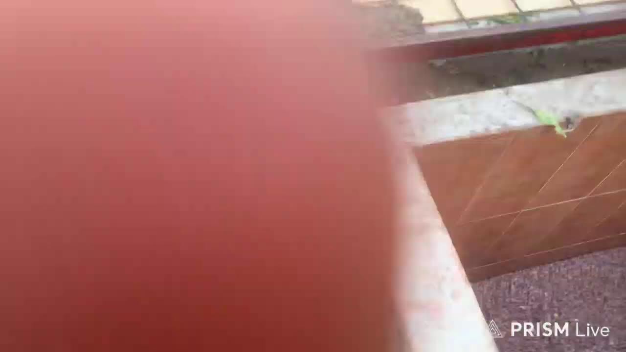 Live streaming of Balade Monde Tv Officiel