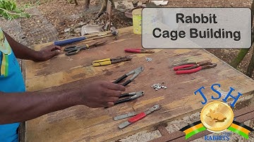 Jamaica Rabbit Farming: How to Build Rabbit Cages