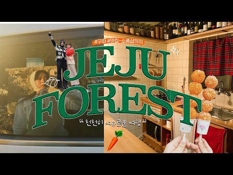 천천히 제주포레스트🌳 동쪽에서 보내는 4일 일상(feat.워케이션) 맛집~소품샵 가득.zip | 에어비앤비 추천 | 귤🍊 | 고등어회 | <strong>성산일출봉</strong>⛰️| 겨울제주vlog