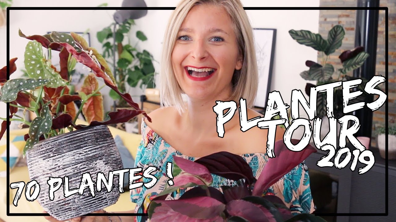 Plant Tour 2019 : + de 70 plantes d'intérieur !