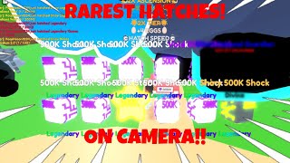 THE LUCKIEST HATCHES ON BUBBLE GUM EMPERORS!!!