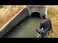 そこら辺の用水路にすげーやつがいる!